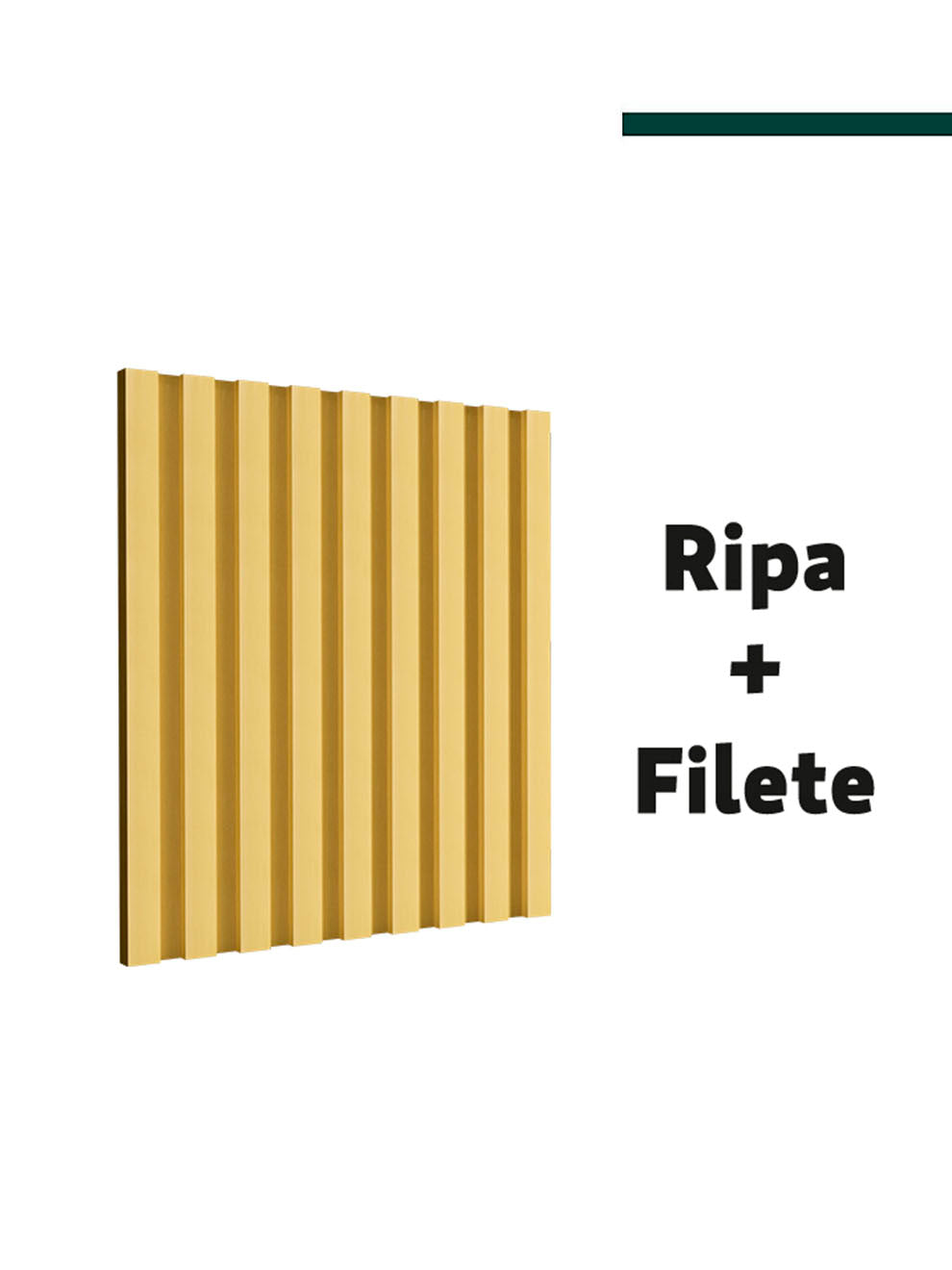 Filete Ouro 23,5mm x 8mm x 2,80m - (PCT C/2) -  Santa Luzia